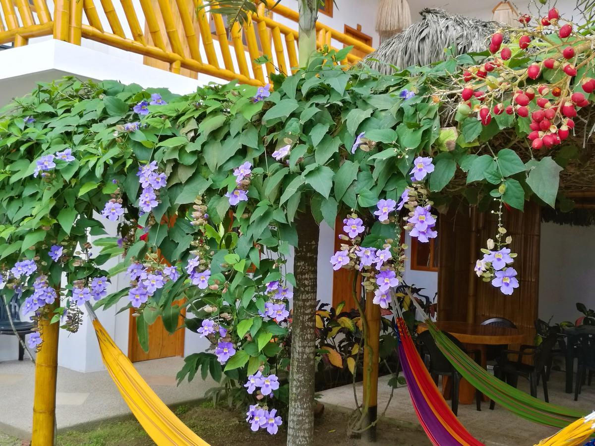 La Mariposa Hostal Olon Exterior photo